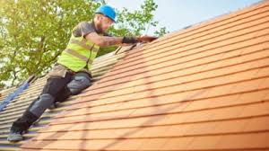 Best Rubber Roofing (EPDM, TPO)  in Meridian, TX
