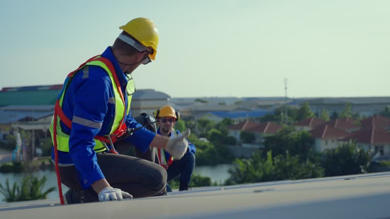 Best Roof Coating and Sealing  in Meridian, TX