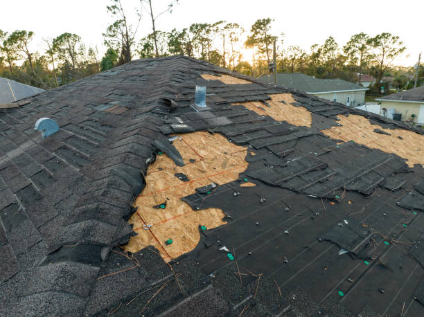 Best Steel Roofing  in Meridian, TX